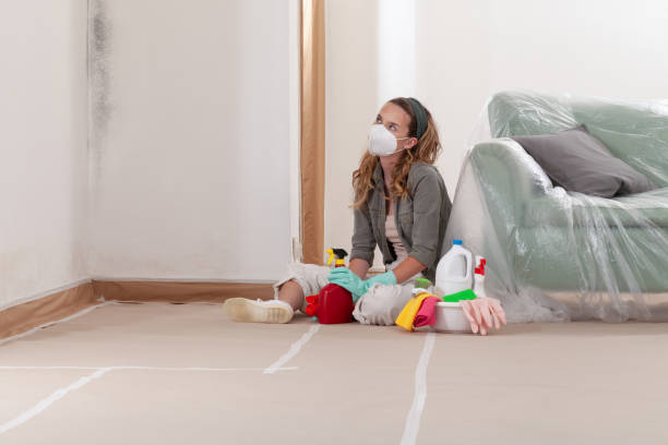 Reliable Mold Inspection contractor in Port Orchard, WA by WQB Mold Removal